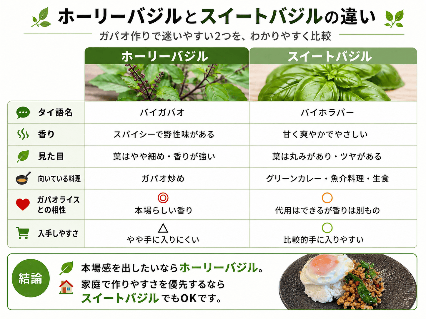 ホーリーバジルとスイートバジルの違いを比較した図